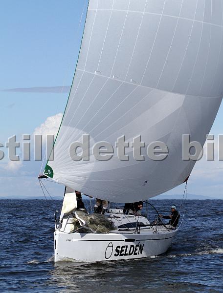 ORCi2 495.jpg